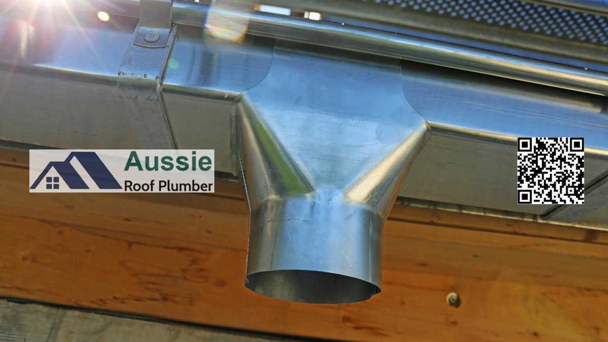 Roof Gutter Cleaning