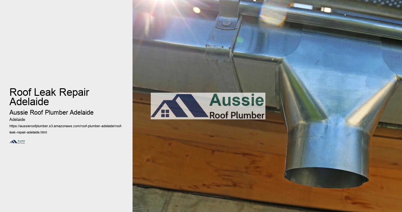 Roof Leak Repair Adelaide